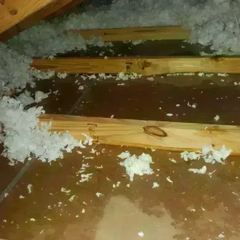 Attic Water Damage in Oxford, MA