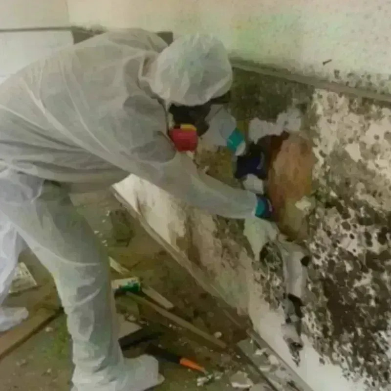 Mold Remediation and Removal in Oxford, MA